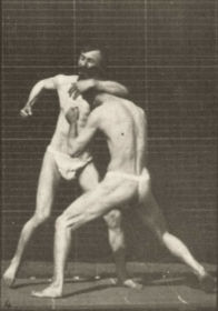 Plate 342 Boxing, open hand — figure reference